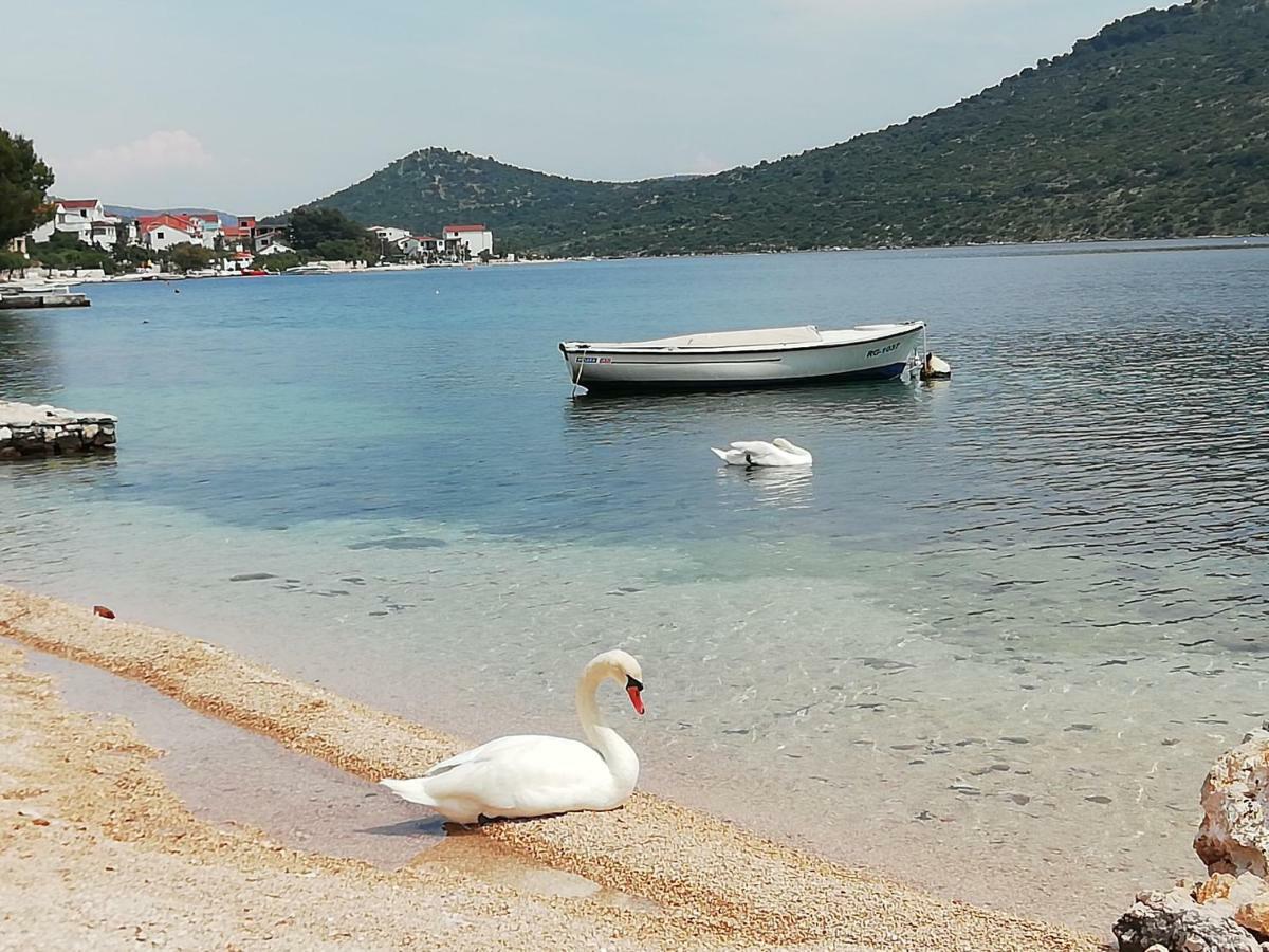 Apartment Zdene Rogoznica  Dış mekan fotoğraf